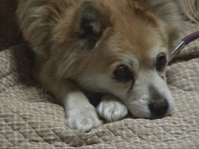 2006_05_04 21_27_0001.jpg